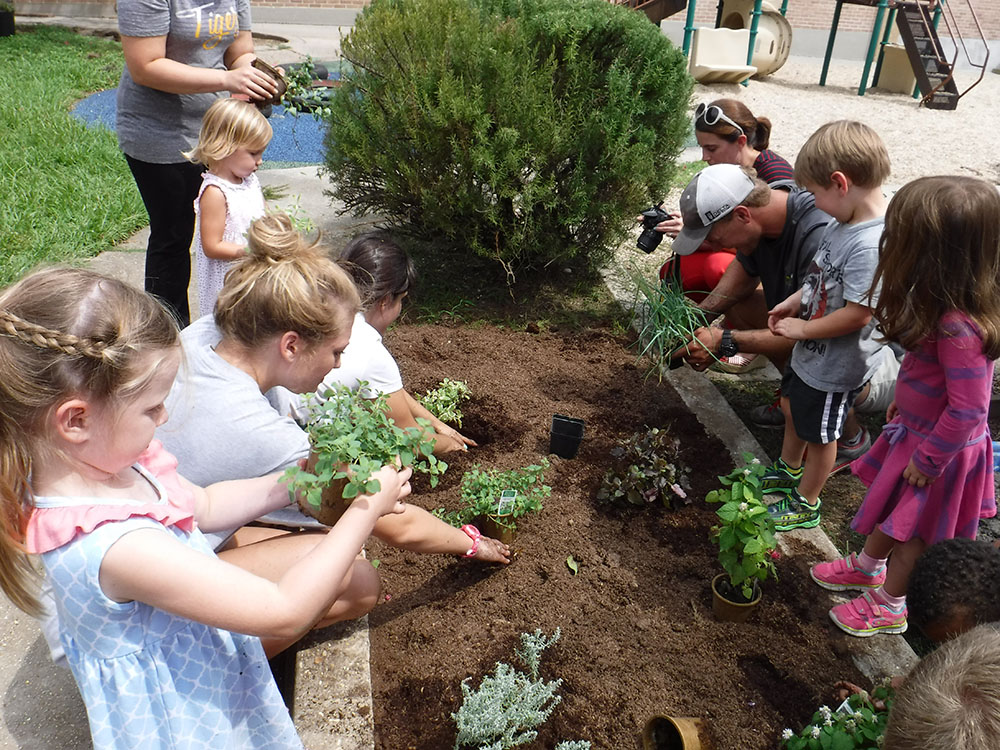 Young boys and girls planting seedlings in the raised garden.