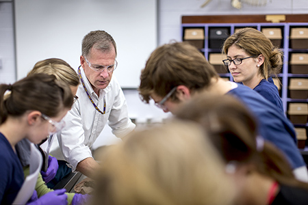 Photo of faculty member and students in the cadaver lab.