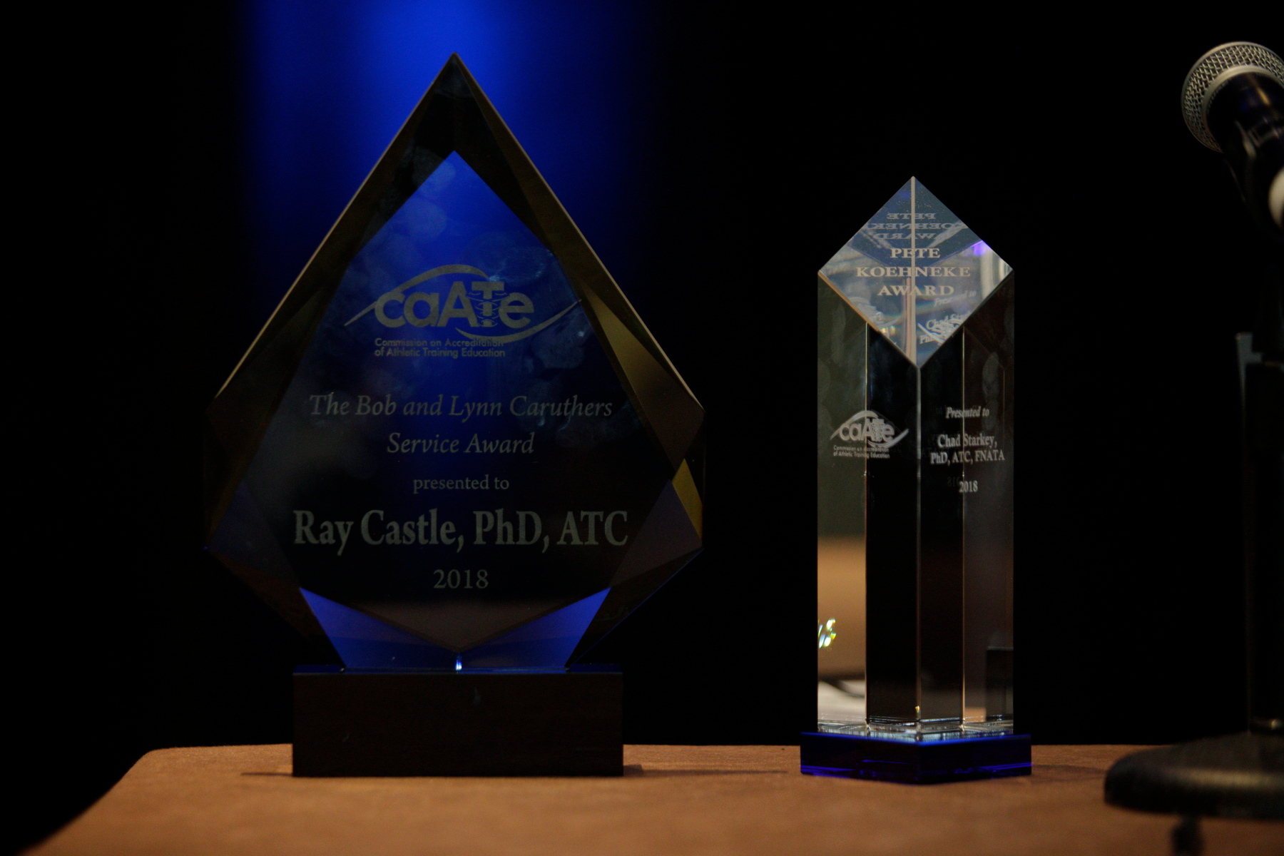 Dr. Ray Castle Service Award
