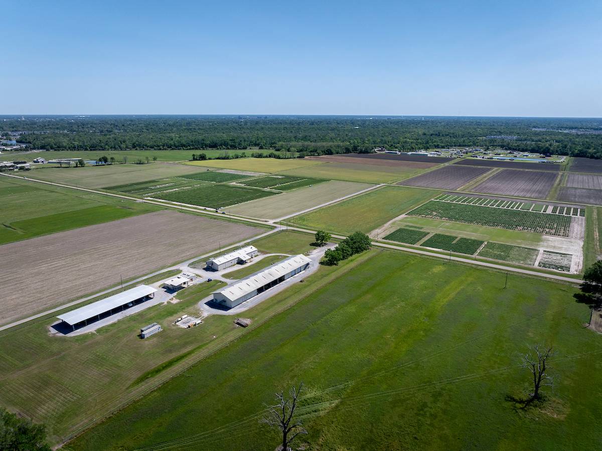 Rural farm in Louisiana