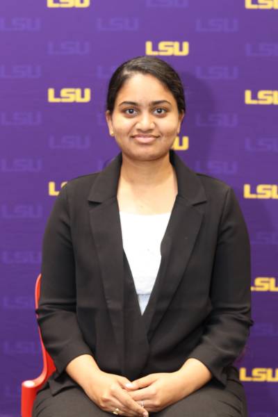 Lsu dissertation database image