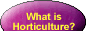 What is horticulture and what are the job opportunities?