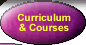 Undergraduate curriculum, rules and course descriptions