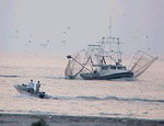 Photo: Shrimp boat and recreational fishing boat in the water.