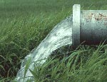 Photo: Water flowing from an open pipe near coastal grasses.