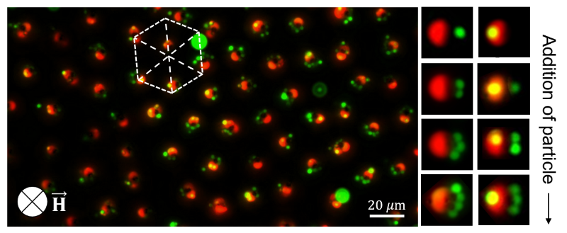 Nanoparticles under a microscope
