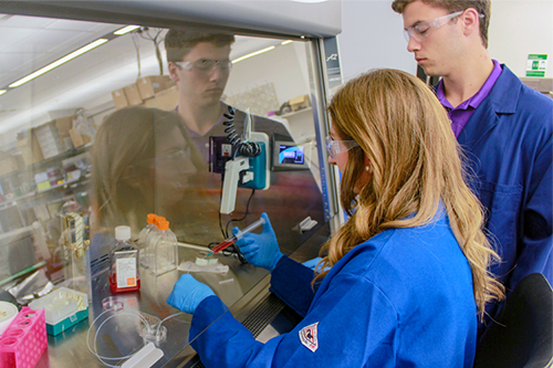 LSU Chemical Engineering senior, Amy Morgan injects a red liquid through a small diameter tube into a microfluidic device while fellow senior student, Josh Campbell observes.
