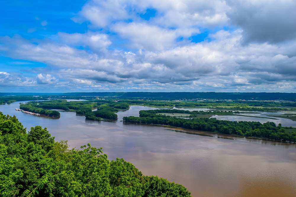 Image of the Mississippi River Delta