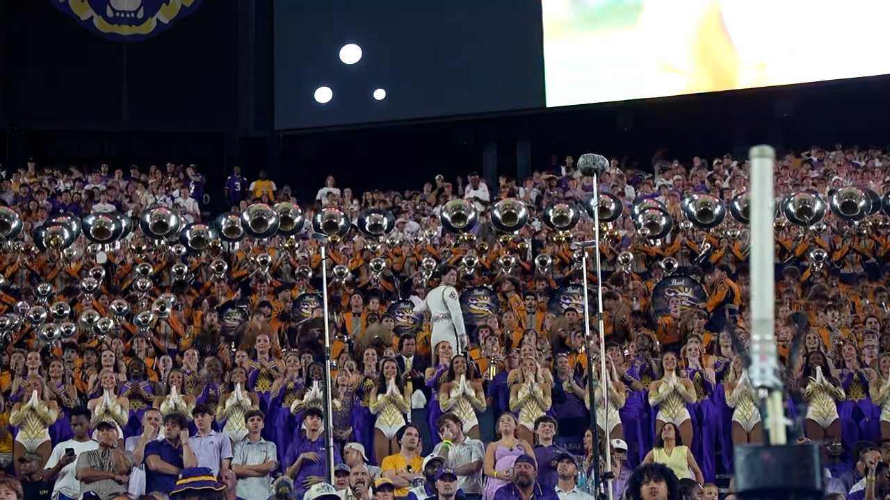 Far shot of Dylan leading band in the stands at Tiger Stadium