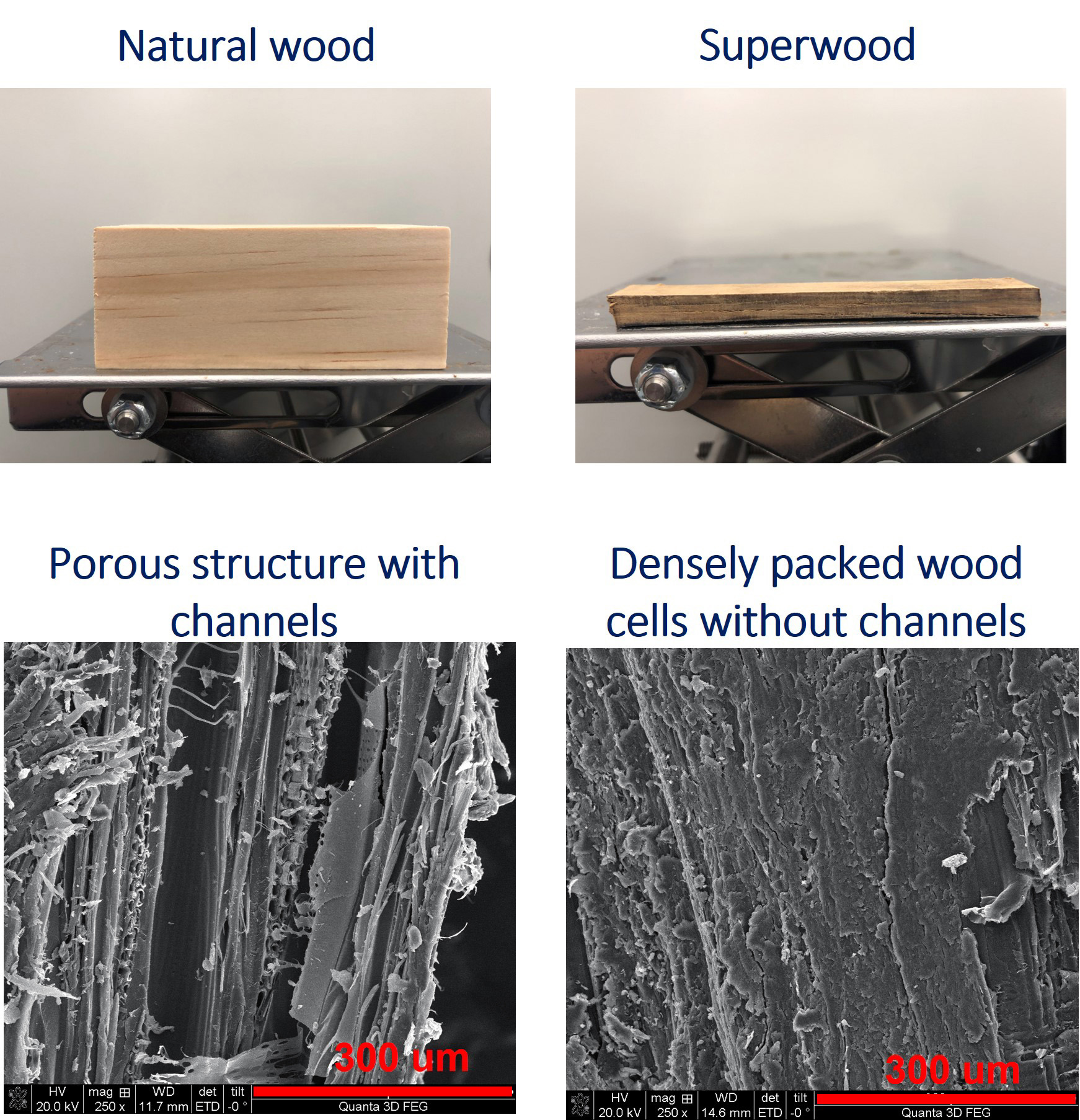 Graphic displaying the difference between natural wood versus superwood.