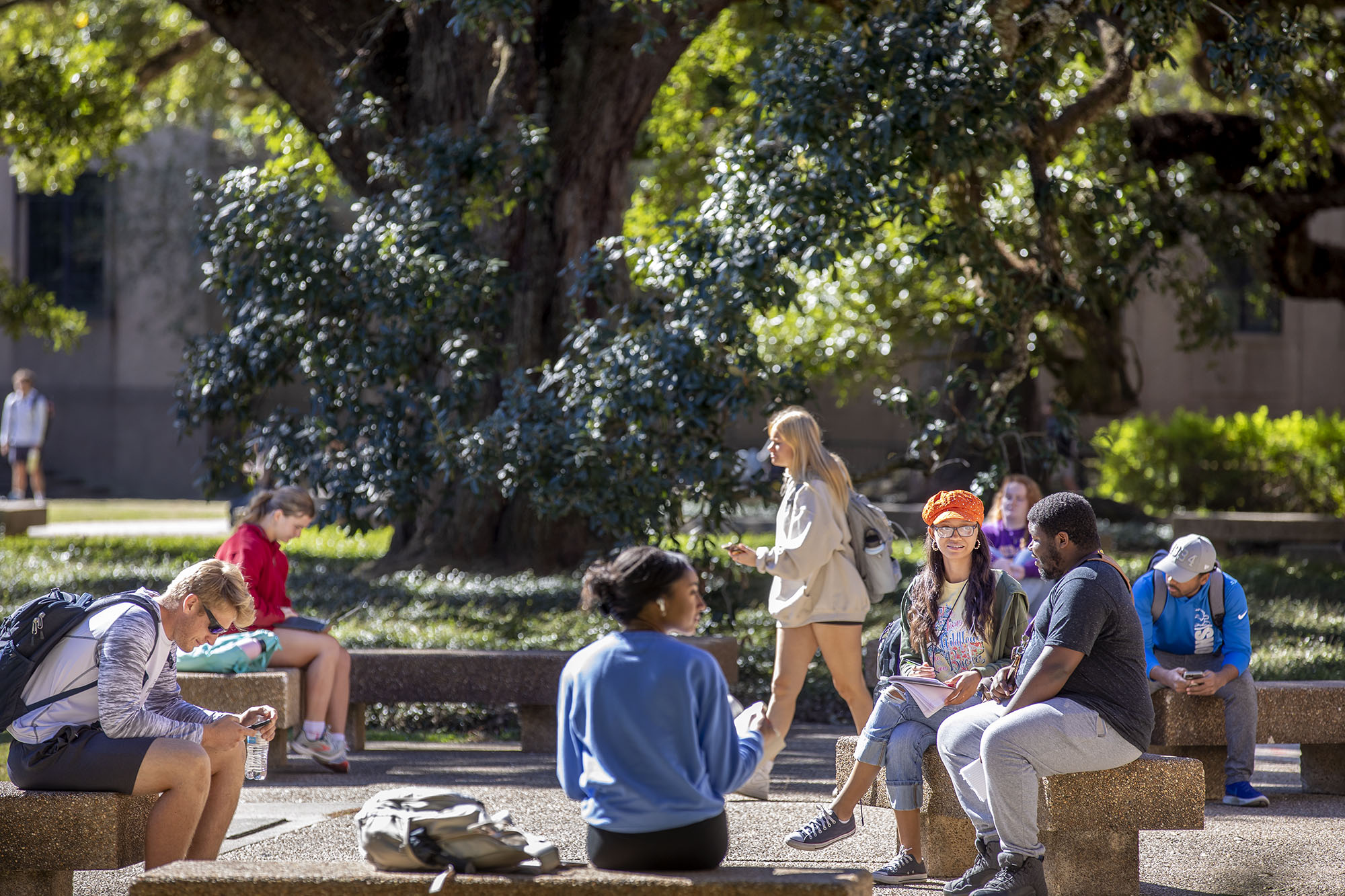 students sitting in the quad