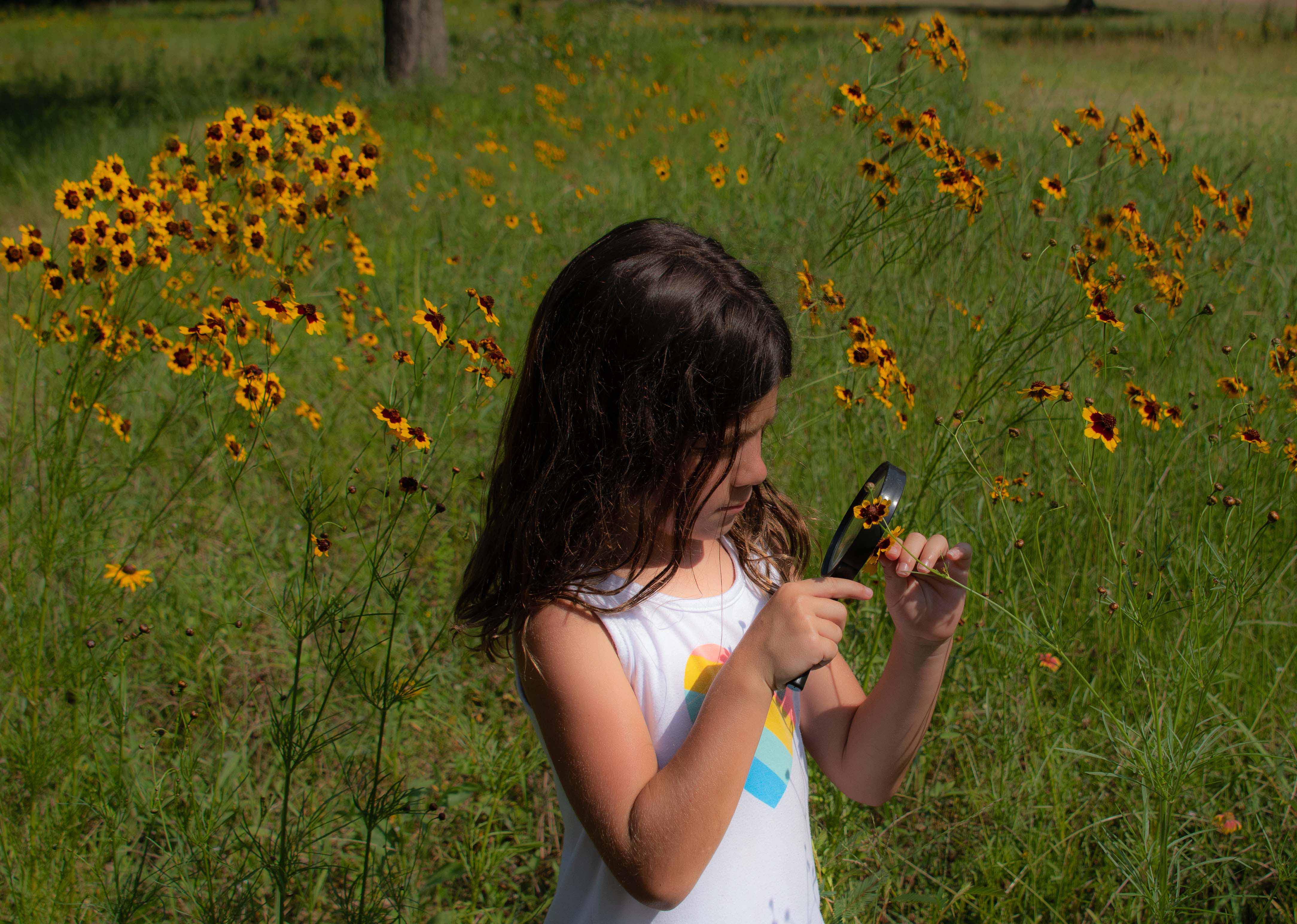 girl in meadow studying flower with magnifying glass