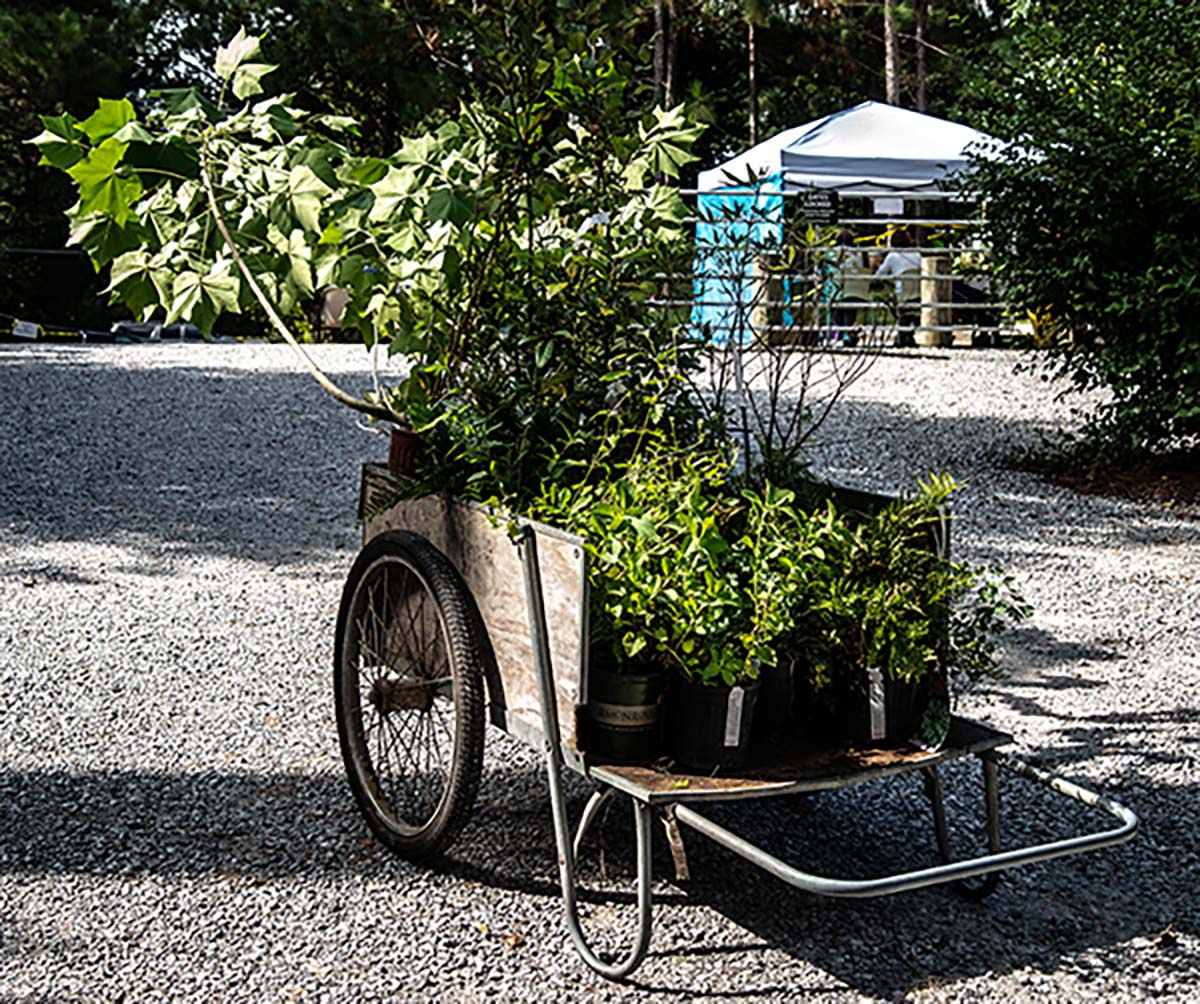 cart with plants