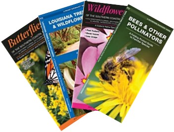 Assortment of pocket guides