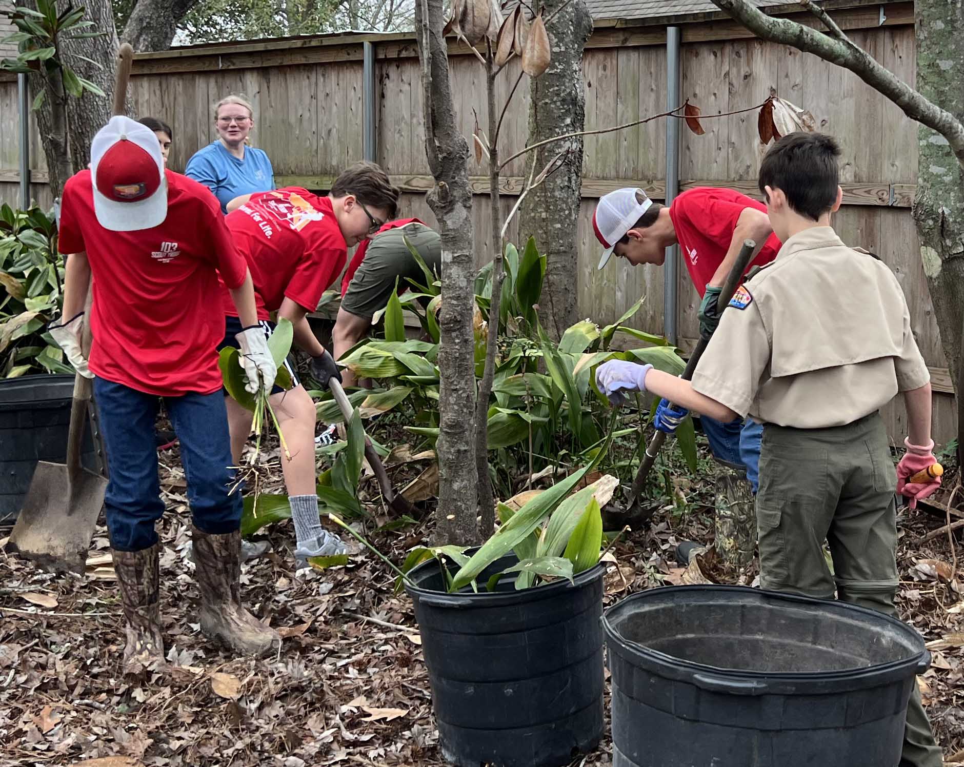 scouts working to remove unwanted plants