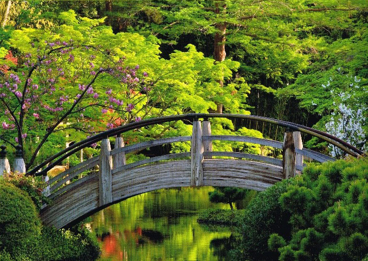 Bridge at Fort Worth Japanese Garden