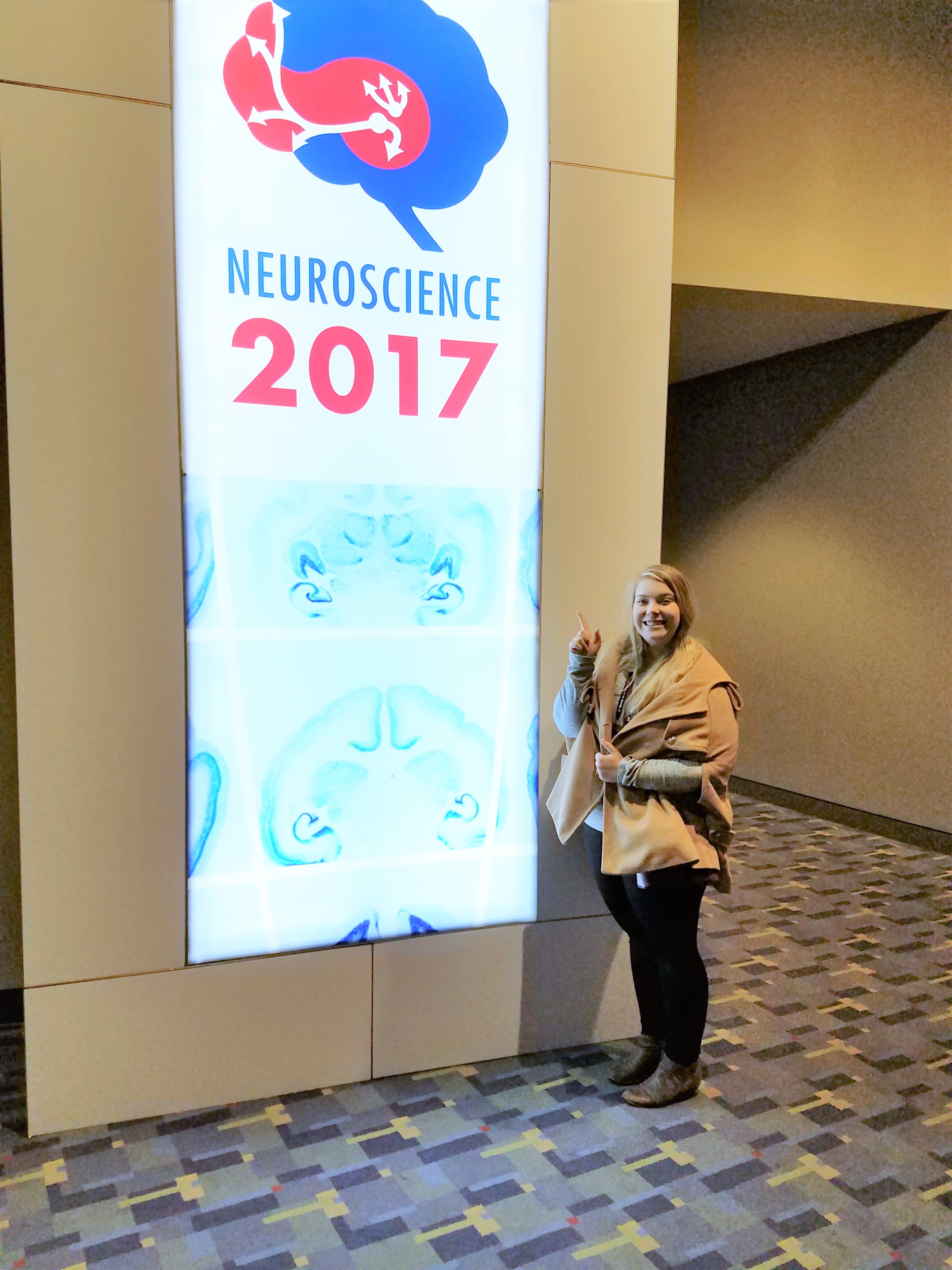 Dissertation meaning image