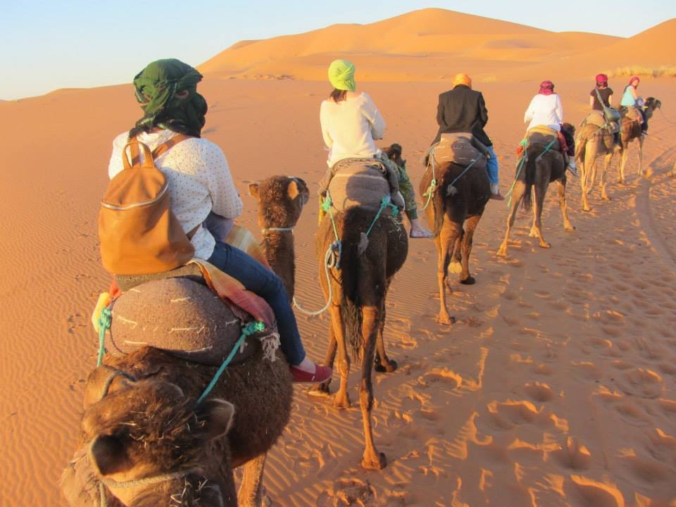 Students on camels in the desert