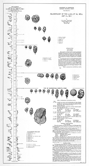 Paleontology of LL&E well