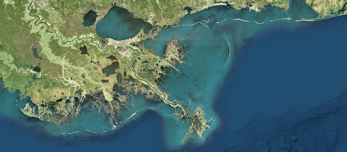 satellite image of the Mississippi River Delta