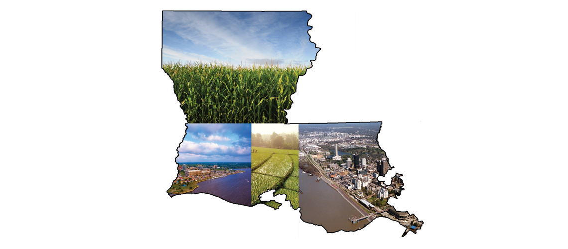 state of Louisiana with corn field, rice field, and cities