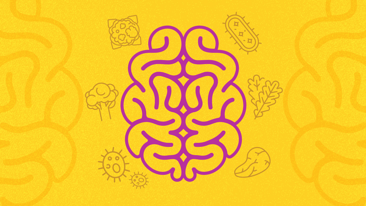 illustration of a brain