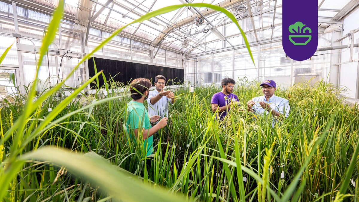 Achyut Adhikari Research Group training