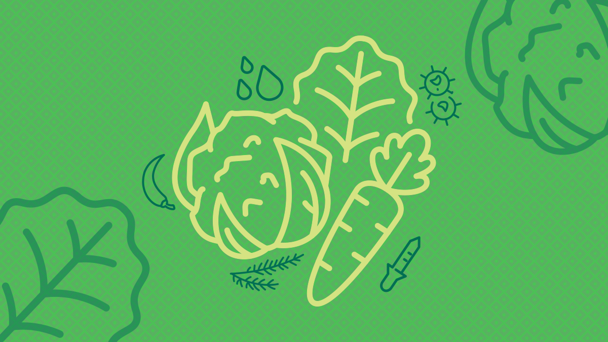 Food Innovation Icon