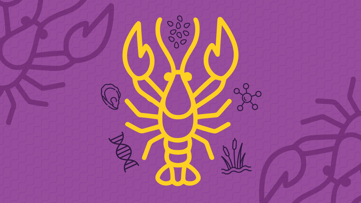Crawfish Illustration