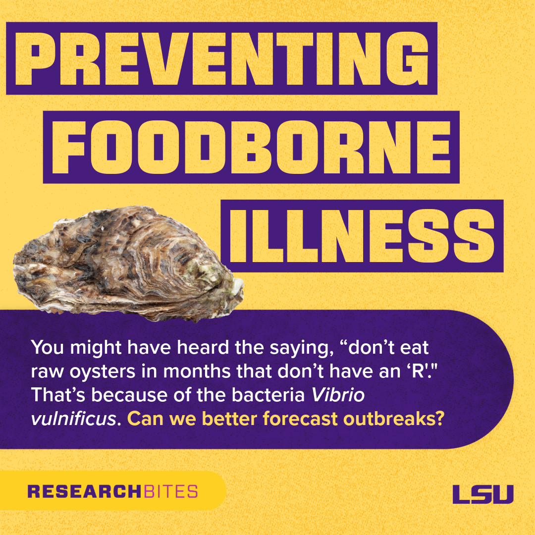Preventing Foodborne Illness slide: You might have heard the saying, "don't eat raw oysters in months that don't have an 'R'." That's because of the bacteria Vibrio vulnificus. Can we better forecast outbreaks?