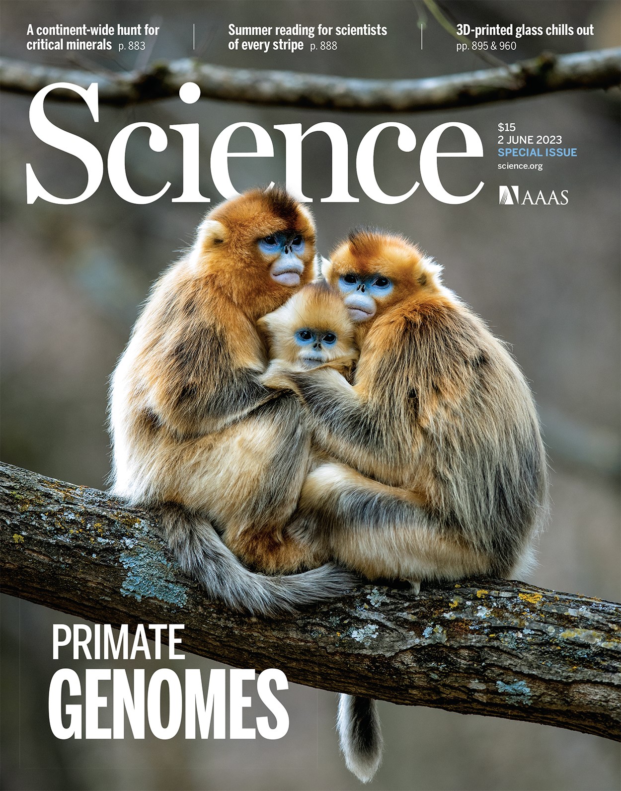Cover of the June 2023 Science magazine featuring primate genomes research.