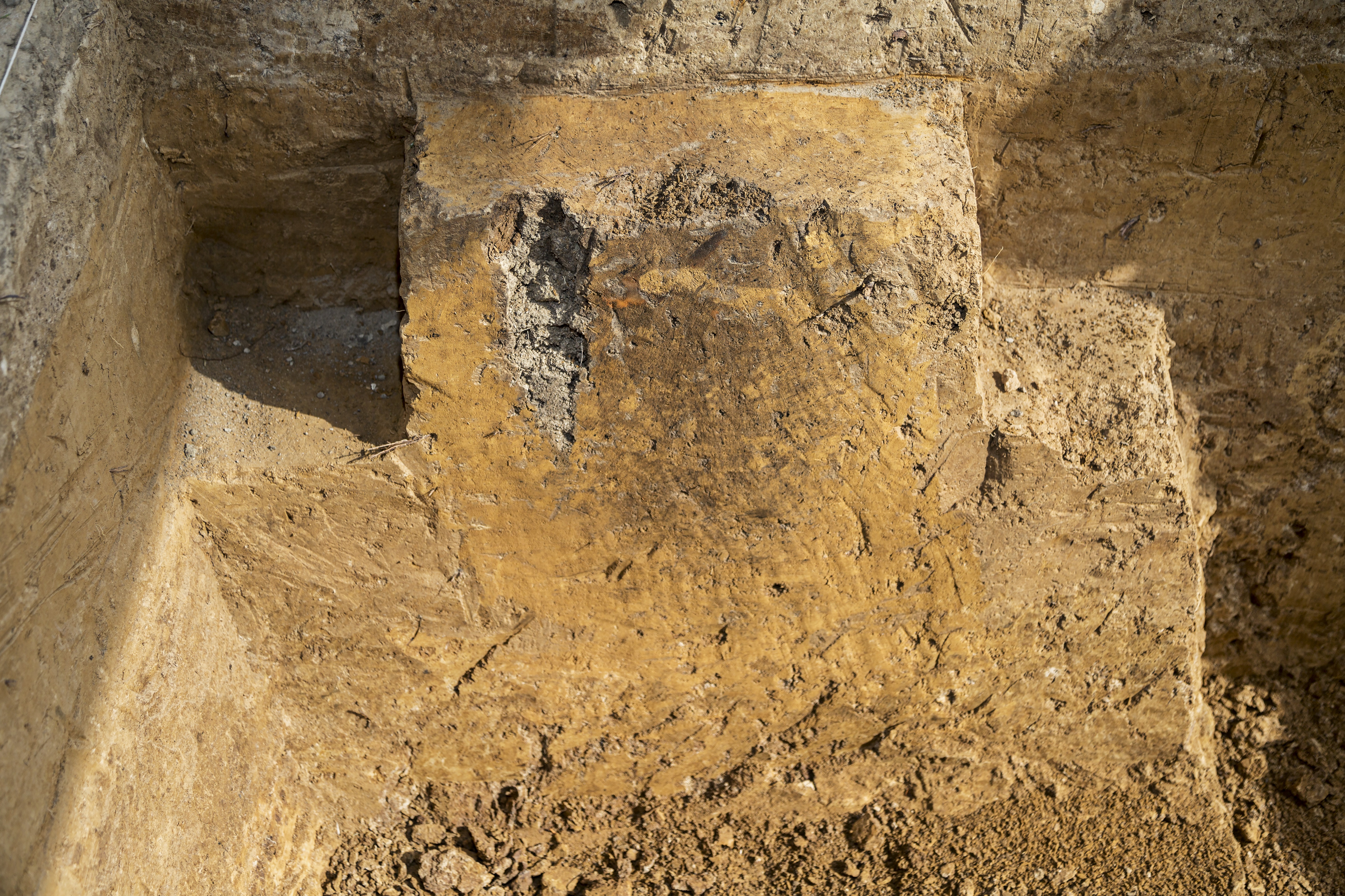 Campus Mound excavation close-up