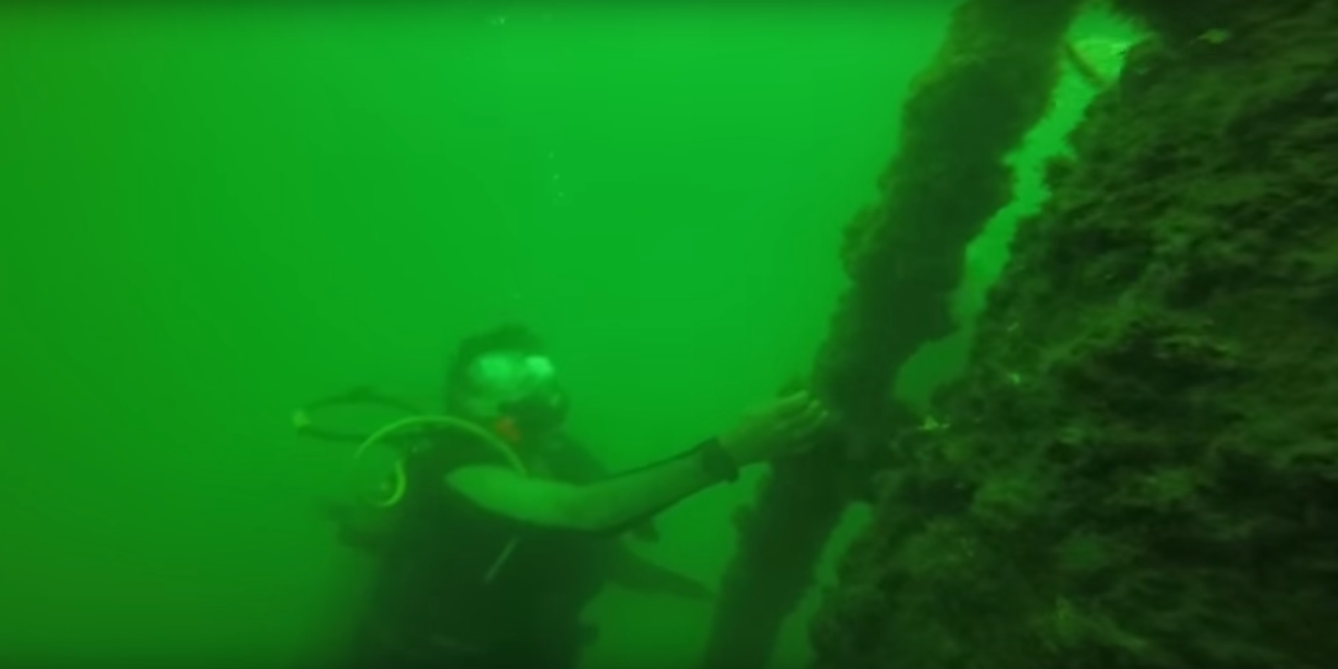 Nancy Rabalais scuba dives Gulf of Mexico dead zone
