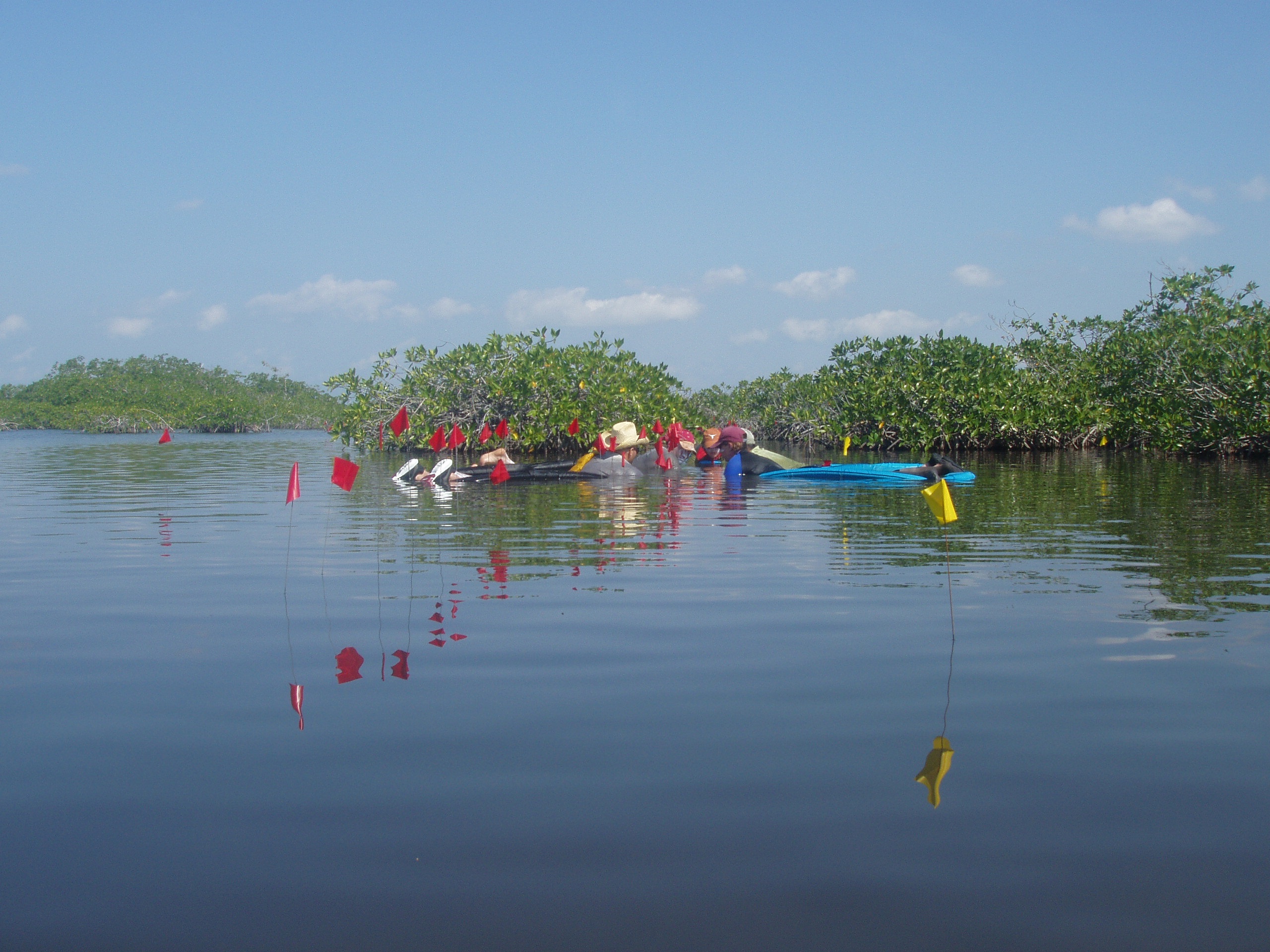 Archaeologists excavate underwater Maya site in Belize