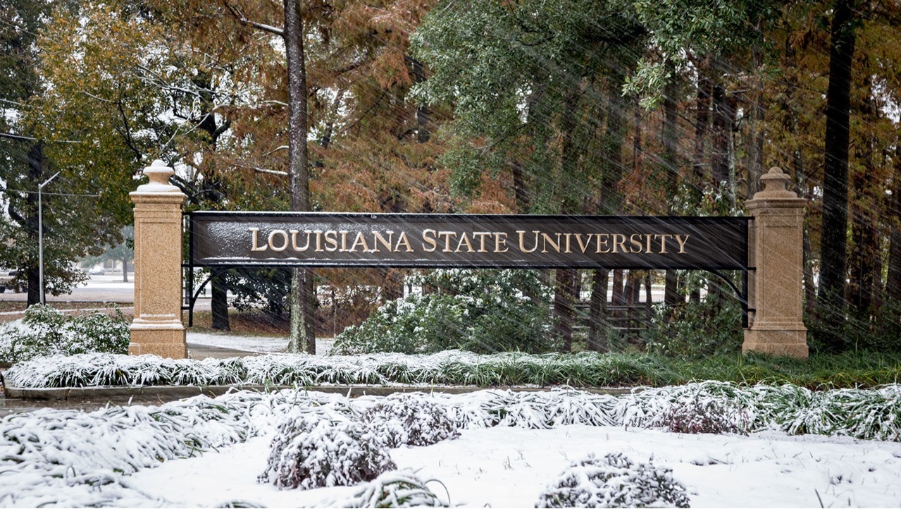Snow at LSU in Baton Rouge