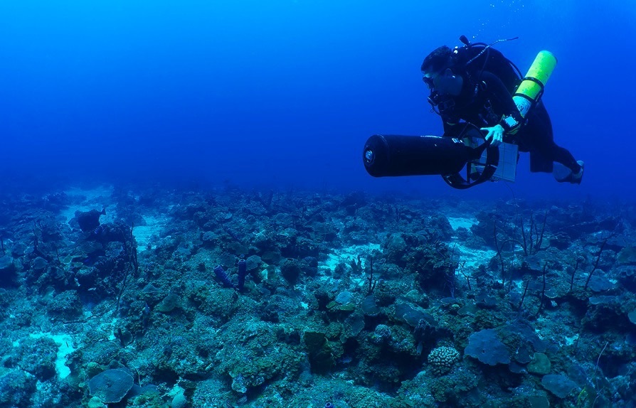 LSU marine ecologist Dan Holstein dives