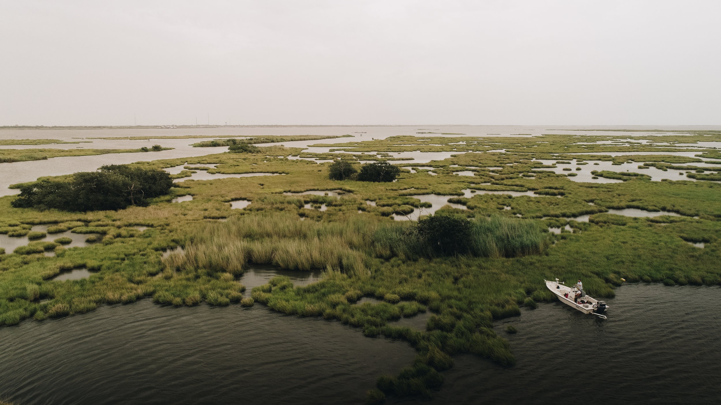 View of Adams Bay archaeological mounds site on the Louisiana coast