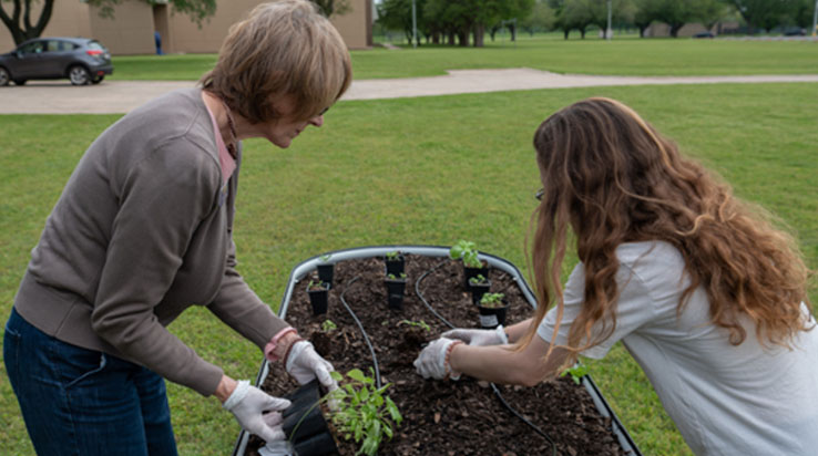 Two women remove plants from a wheelbarrow loaded with plants and soil