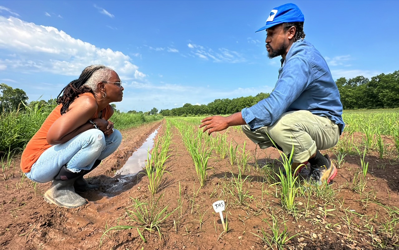 Konda Mason and farm manager Myles Gaines inspect plants growing in a field