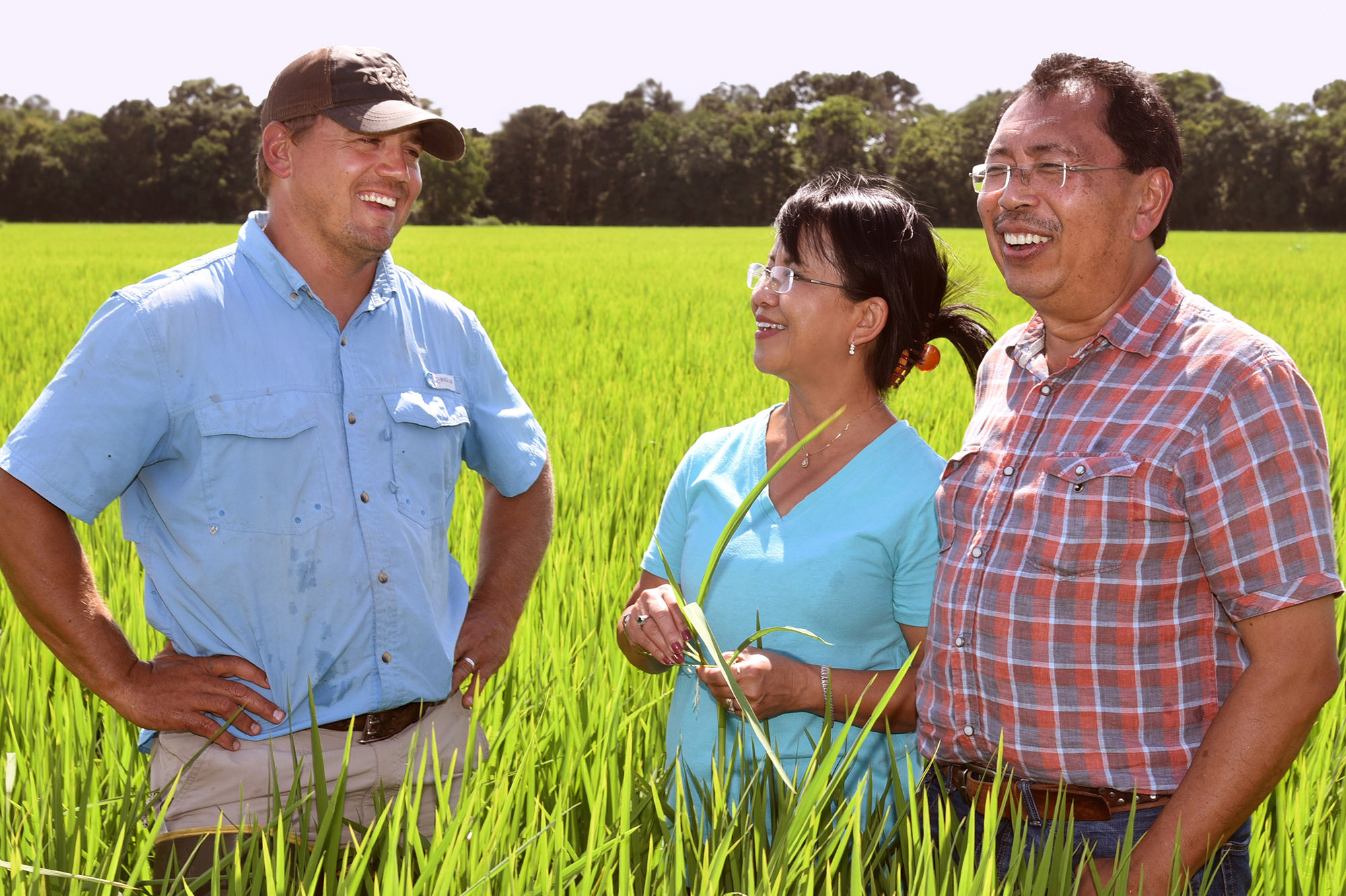 Eunice area farmer Michael Frugé with LSU AgCenter researchers Ida Wenefrida and Herry Utomo