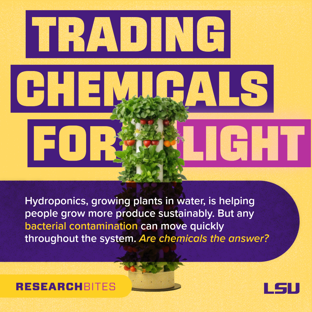 Trading chemicals for Light slide showing hydroponicly grown plant