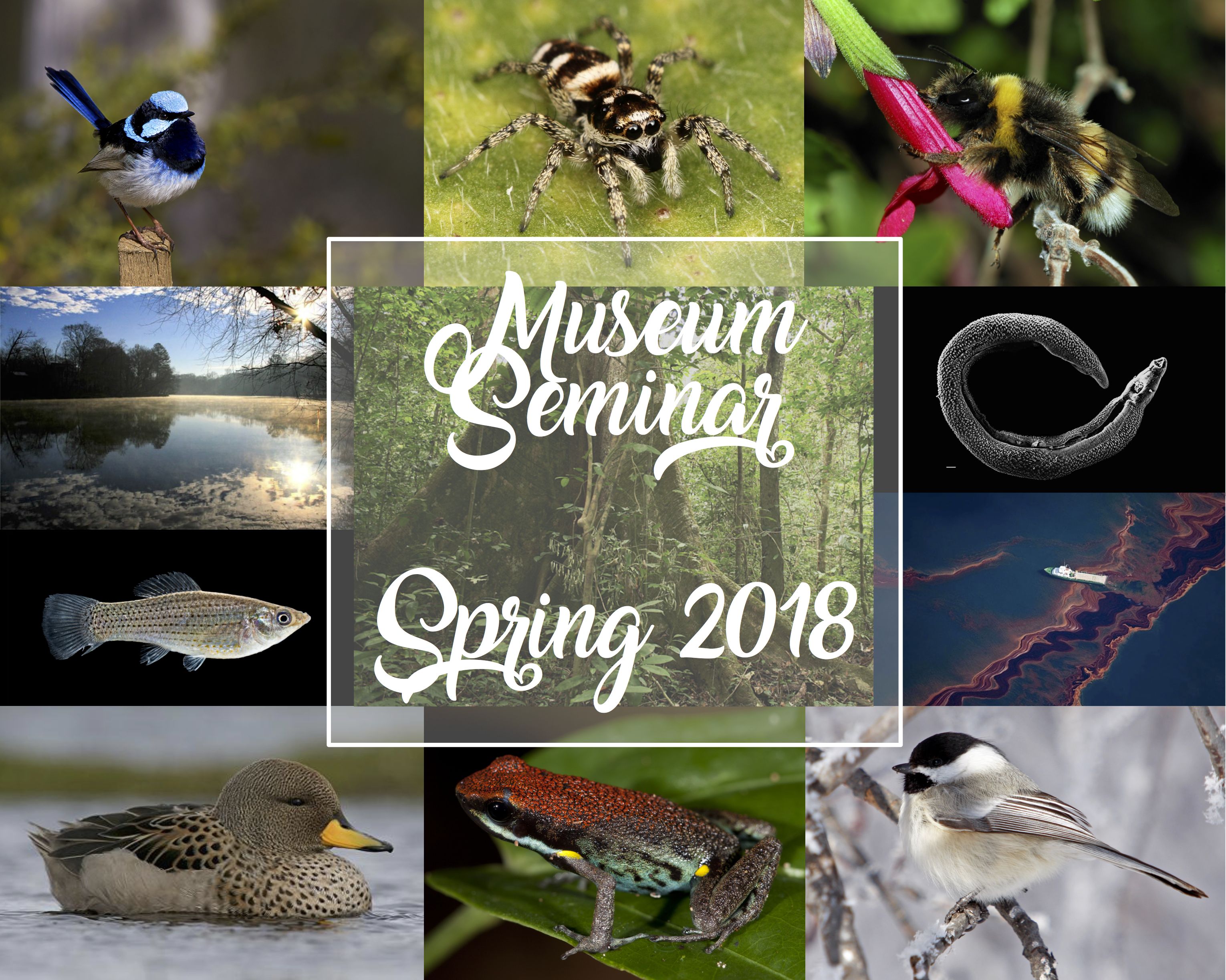 2018 Spring Seminar Photo Collage
