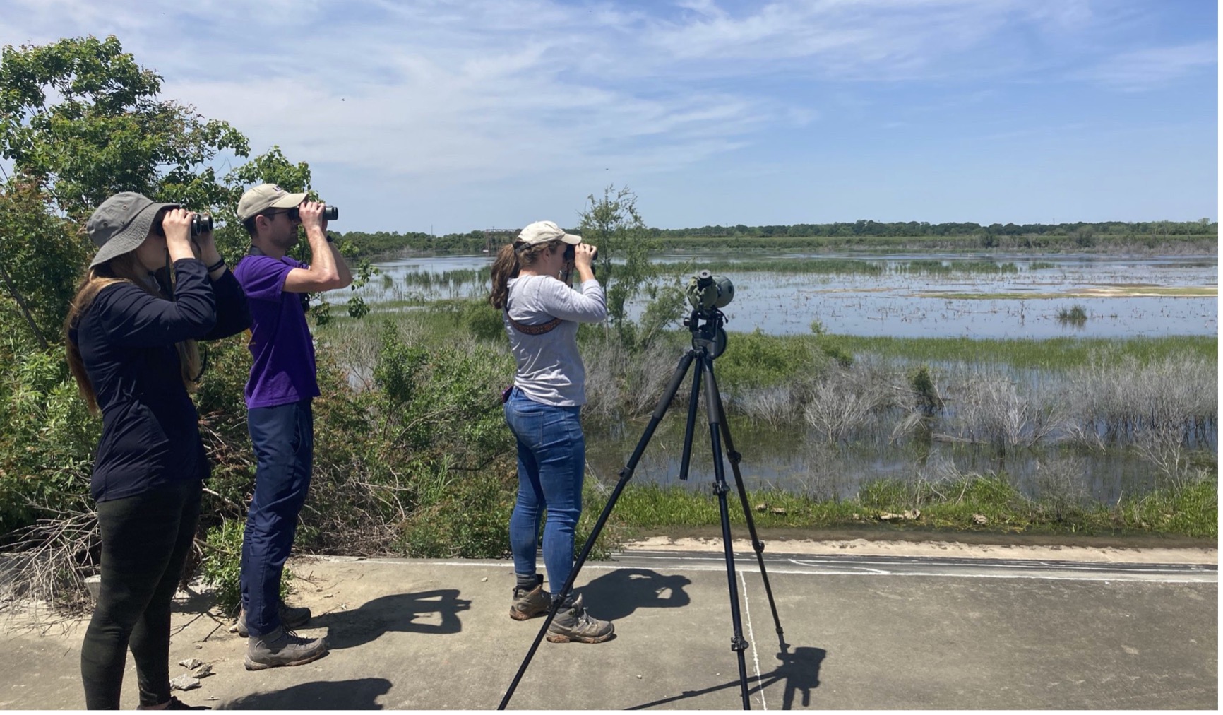 Three naturalists capturing photographs in the field