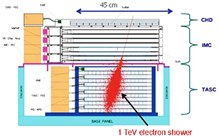 1 TeV electron shower