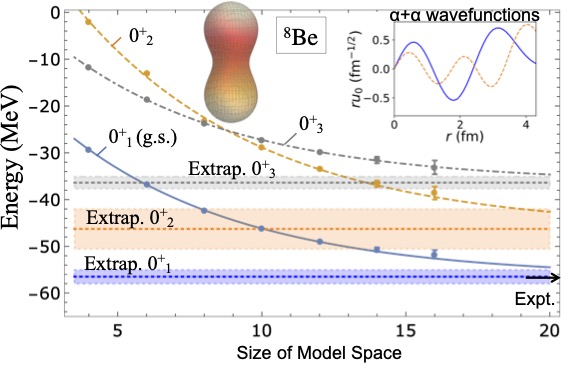 Unveiling new physics in 8Be (figure adapted from doi.org/10.1103/PhysRevLett.128.202503)
