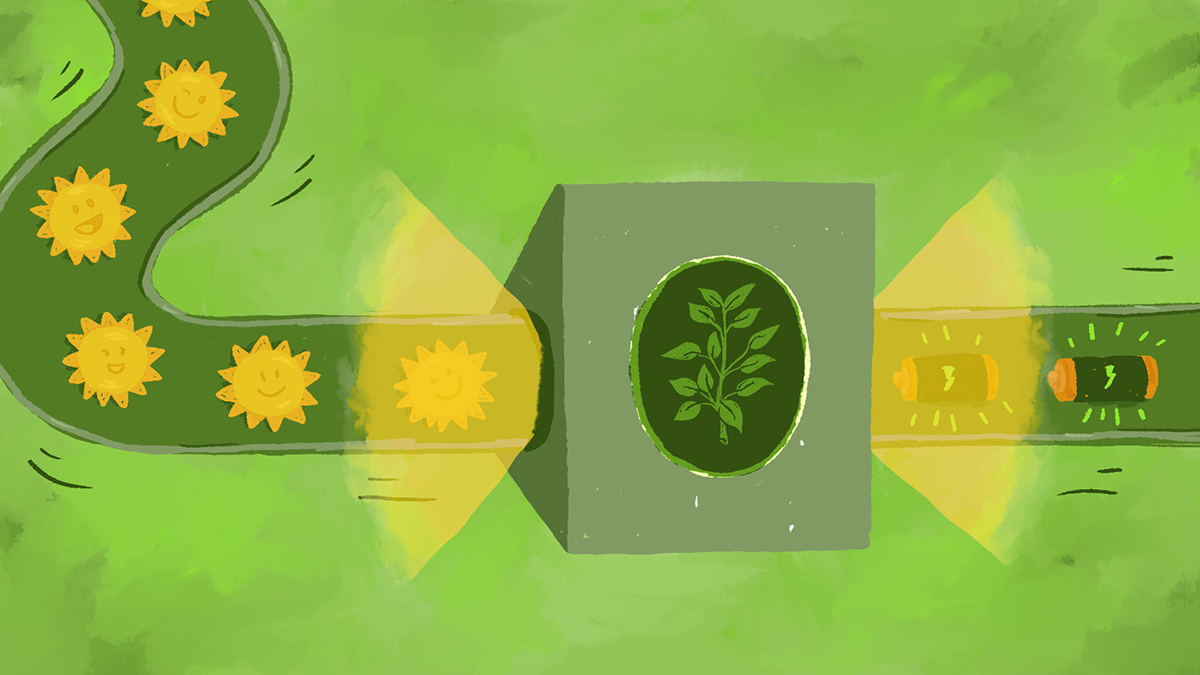 Symbolic illustration of photosynthesis replicated in a man-made system to create green energy