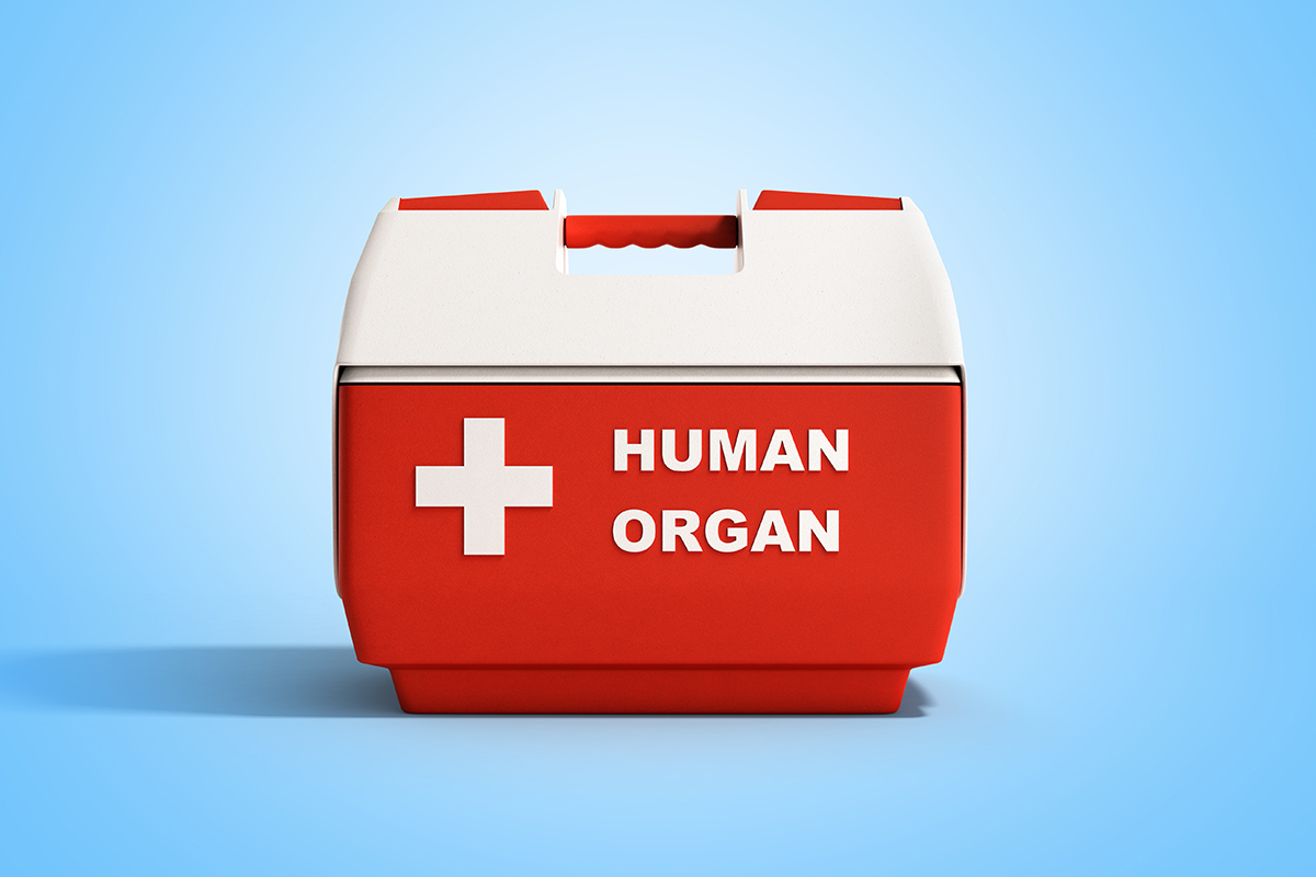 Stock photo showing cooler for human organ