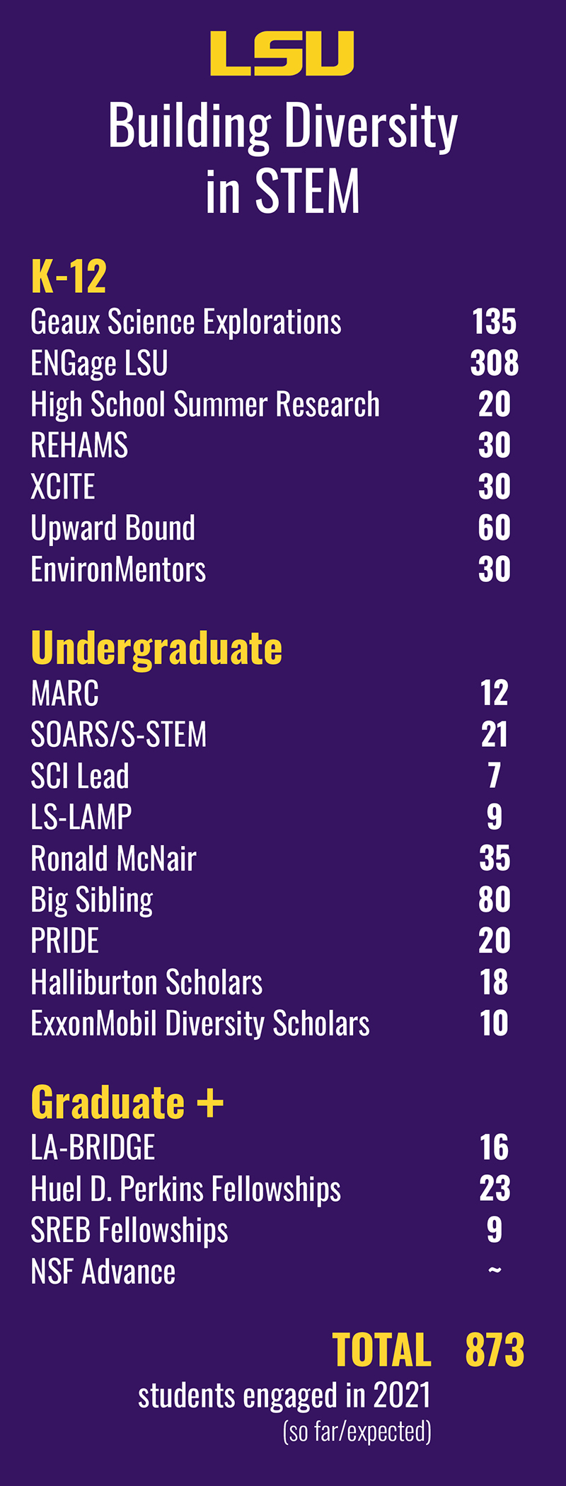 Infographic of LSU efforts to increase diversity in STEM
