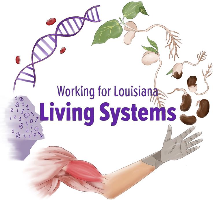 Working for Louisiana: Living Systems