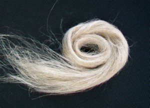 Flax Fiber